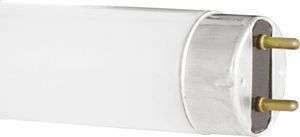 Люминесцентная лампа  Camelion  T8  30Вт  6500К  G13